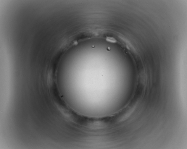 X0000113870594200910011114