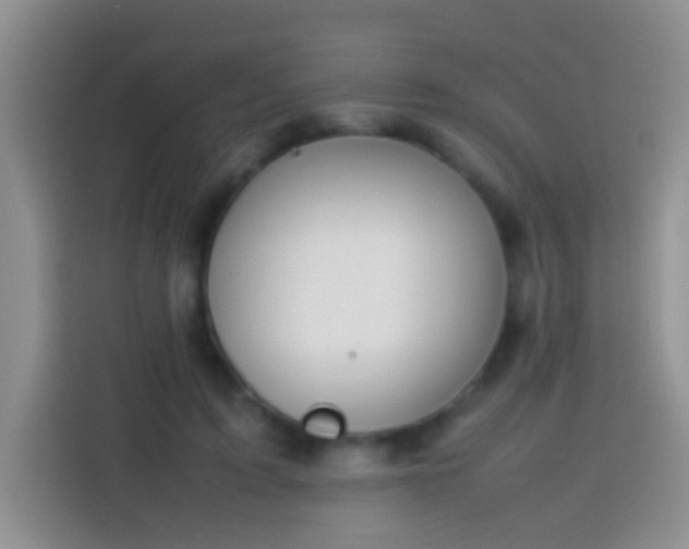 X0000113870595200910011114