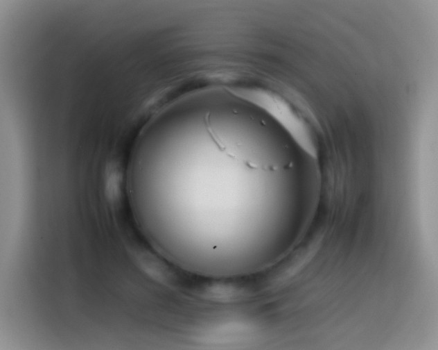 X0000113870596200910011114