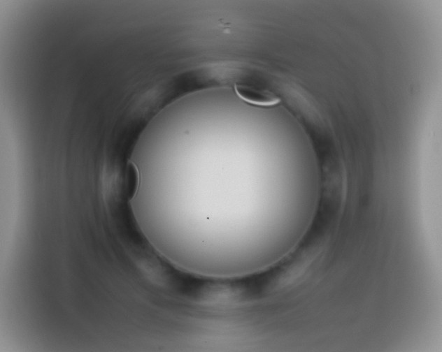 X0000113870597200910011114