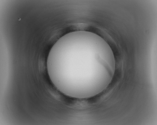 X0000113870599200910011114