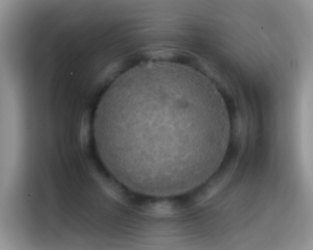 X0000113870600200910011114