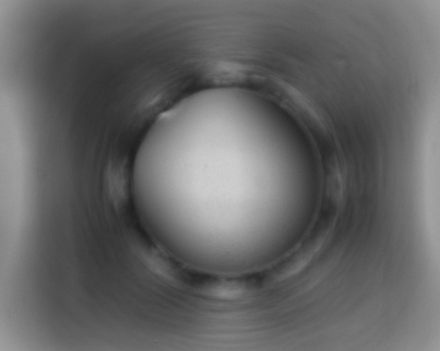 X0000113870604200910011114