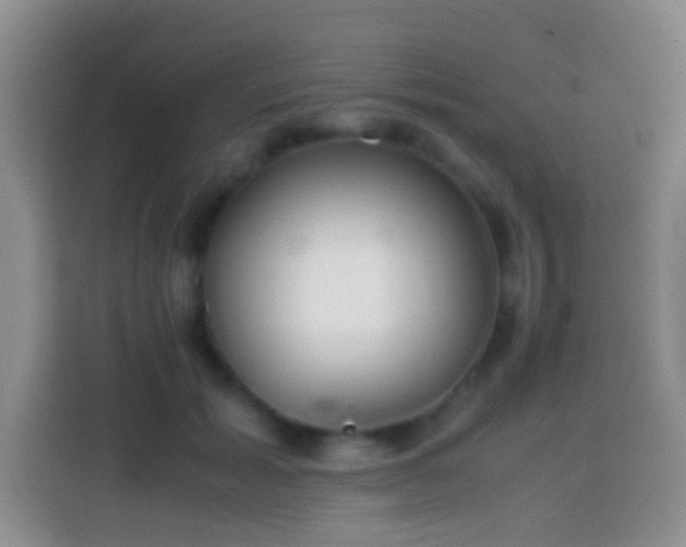 X0000113870605200910011114