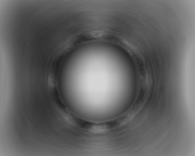 X0000113870606200910011114