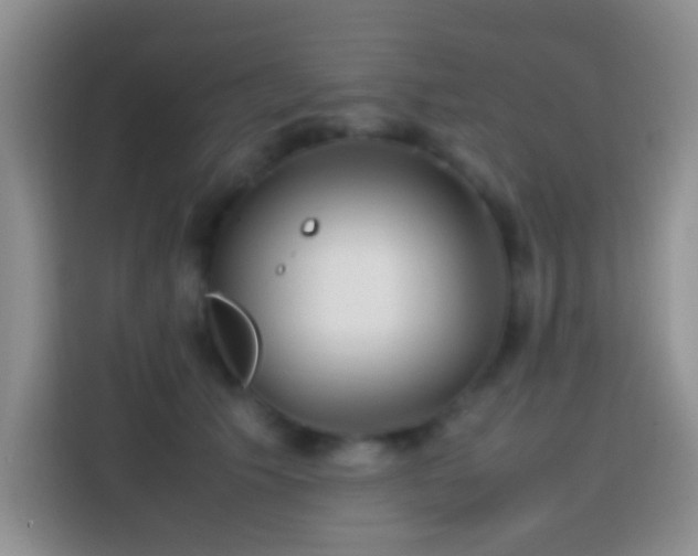 X0000113870609200910011114