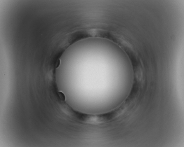 X0000113870611200910011114