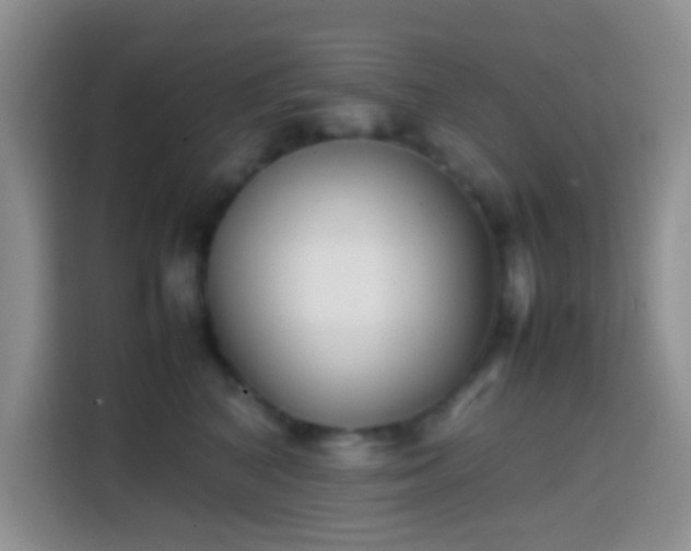 X0000113870616200910011113