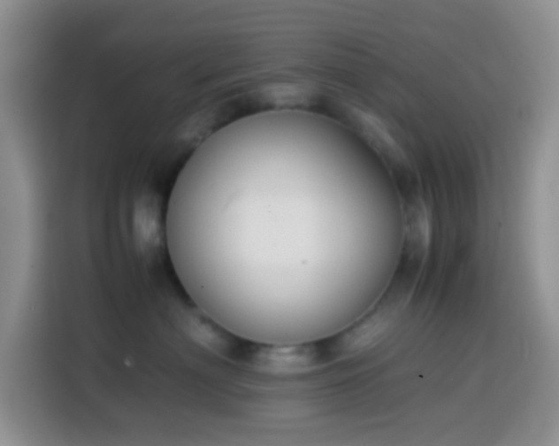 X0000113870622200910011113