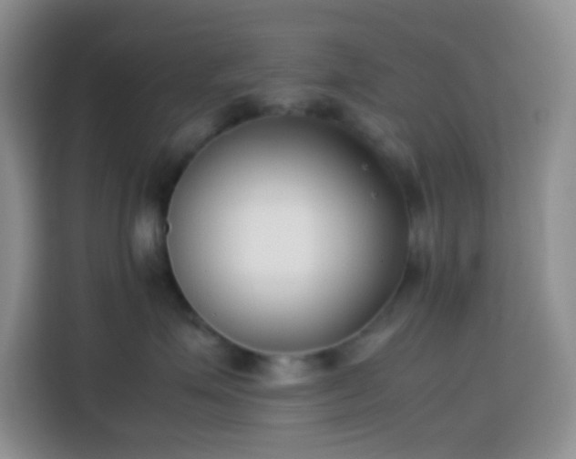 X0000113870623200910011113