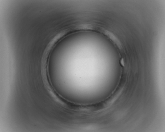 X0000113870625200910011113