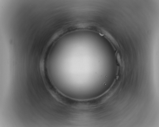 X0000113870626200910011113