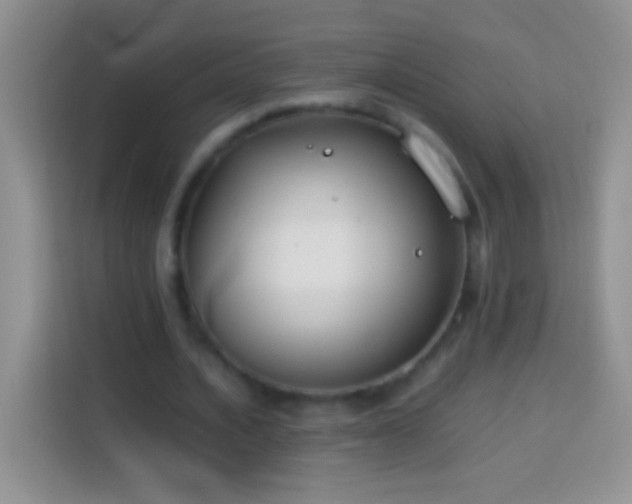 X0000113870628200910011113