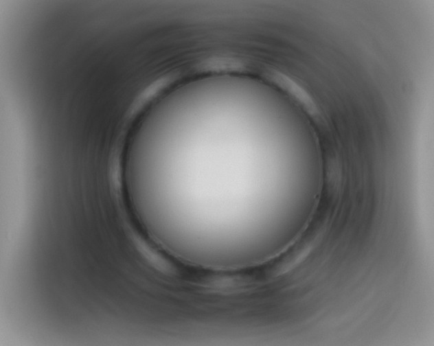 X0000113870629200910011113