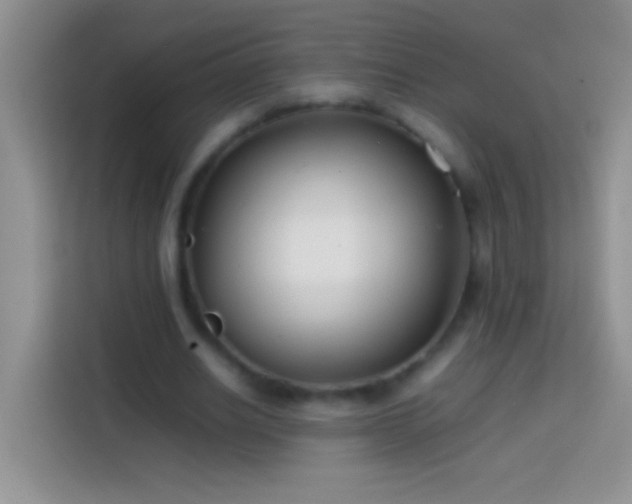 X0000113870630200910011113