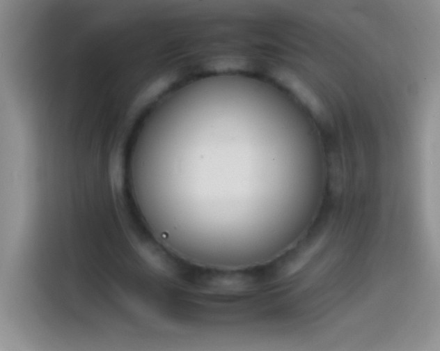 X0000113870631200910011113