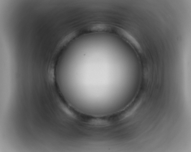 X0000113870633200910011113