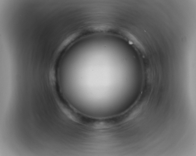 X0000113870634200910011113