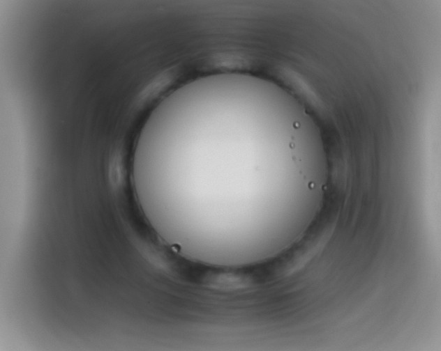 X0000113870635200910011113