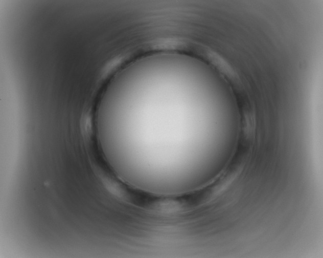 X0000113870636200910011113