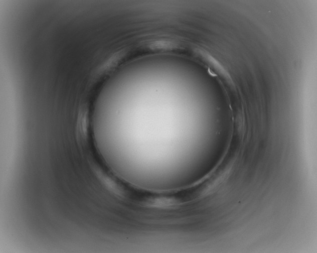 X0000113870637200910011113