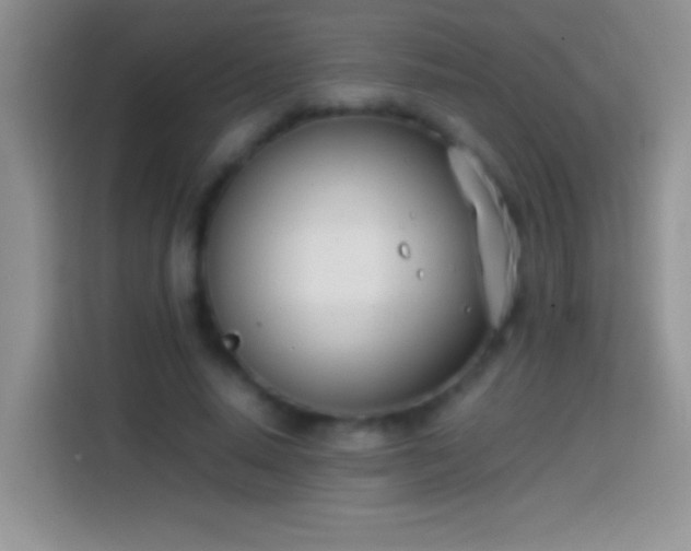 X0000113870640200910011113