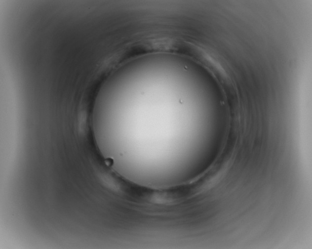 X0000113870641200910011113