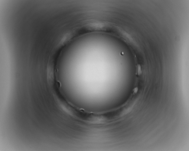 X0000113870642200910011113