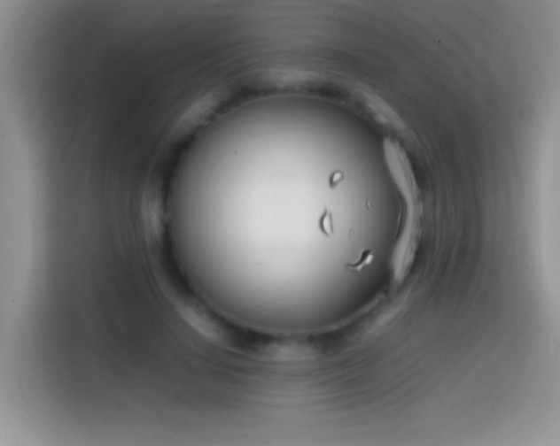 X0000113870644200910011113