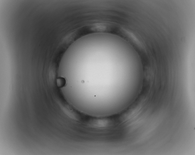 X0000113870645200910011113