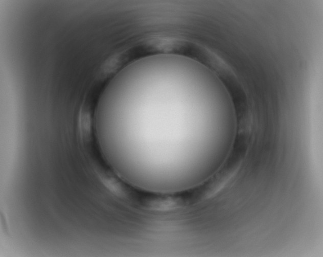 X0000113870646200910011113