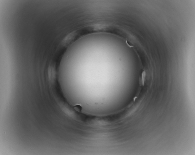 X0000113870648200910011113