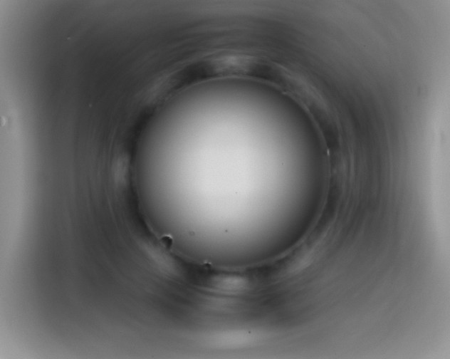 X0000113870649200910011113