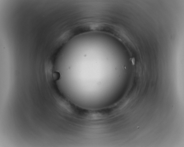 X0000113870650200910011113