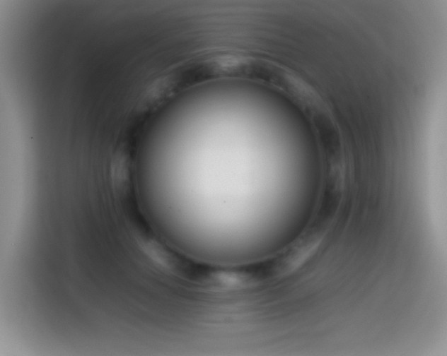 X0000113870654200910011113