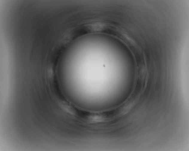 X0000113870655200910011113