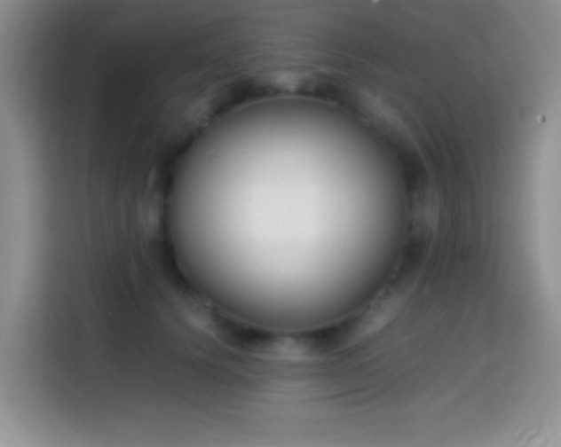 X0000113870656200910011113