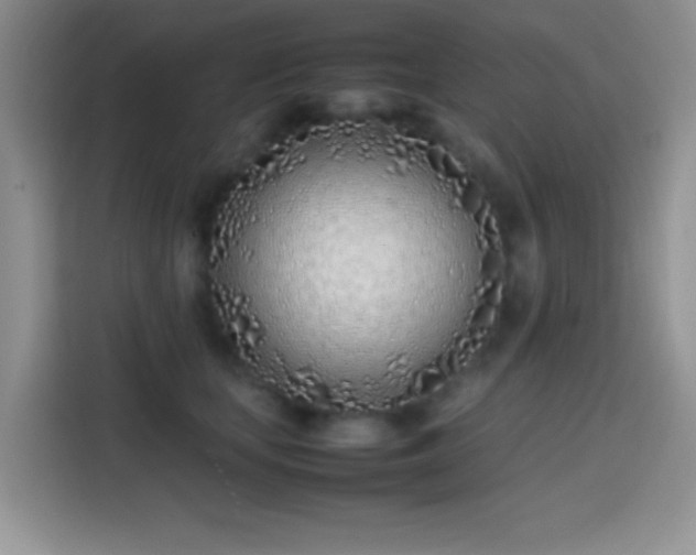 X0000113870659200910011113