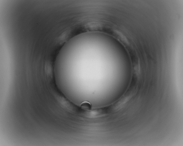 X0000113870662200910011113