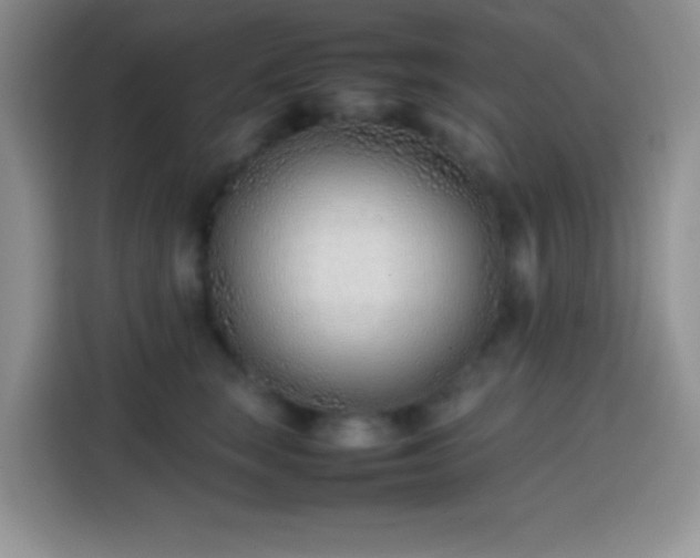 X0000113870663200910011113