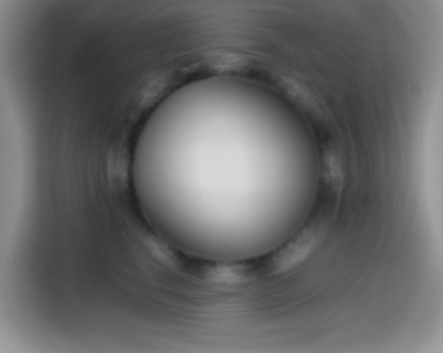 X0000113870664200910011113