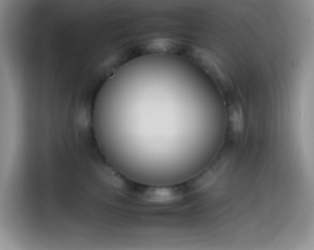 X0000113870665200910011113