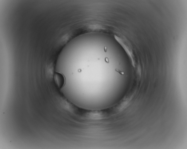 X0000113870668200910011113