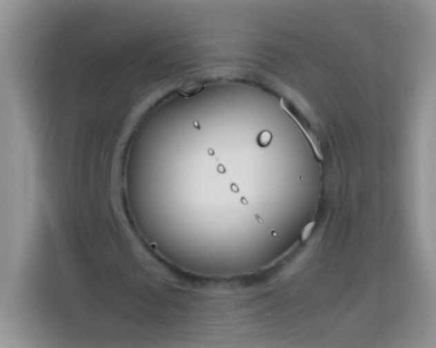 X0000113870673200910011113