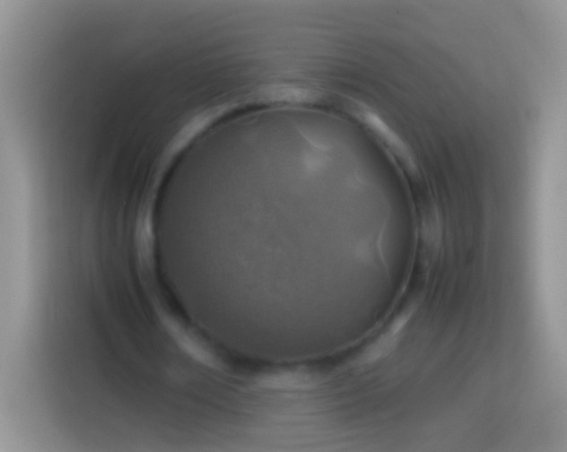 X0000113870674200910011113