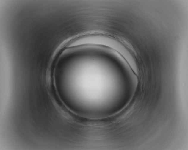 X0000113870676200910011113