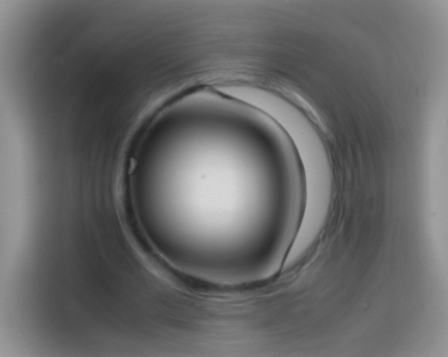 X0000113870677200910011113