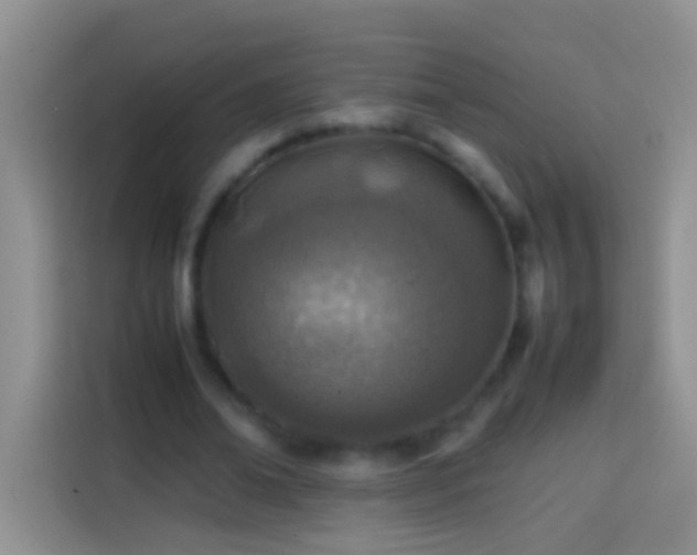 X0000113870678200910011113