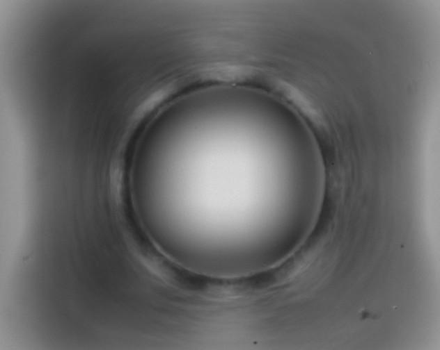 X0000113870679200910011113