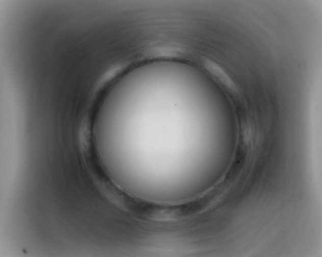 X0000113870680200910011113